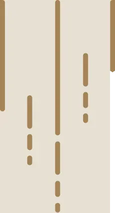 Border ornament