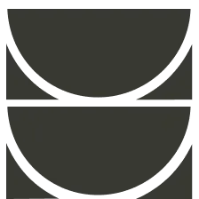 VIP access icon